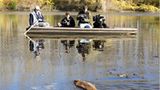 Video: Biberkrieg in Bayern - Bild 3