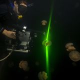 Video: Unterwasserwelt Palau - Bild 3