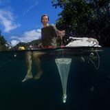 Video: Unterwasserwelt Palau - Bild 6