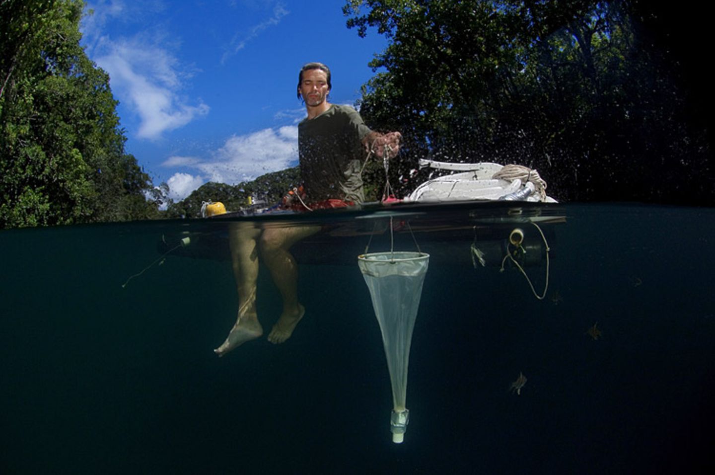 Video: Unterwasserwelt Palau - Bild 6