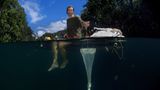 Video: Unterwasserwelt Palau - Bild 6