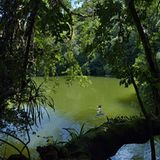 Video: Unterwasserwelt Palau - Bild 7