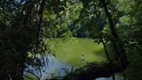 Video: Unterwasserwelt Palau - Bild 7