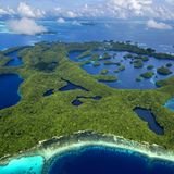 Video: Unterwasserwelt Palau - Bild 8