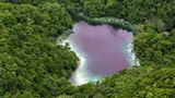 Video: Unterwasserwelt Palau - Bild 10