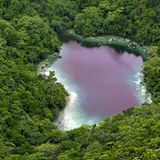 Video: Unterwasserwelt Palau - Bild 10