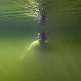 Video: Unterwasserwelt Palau - Bild 11