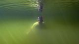Video: Unterwasserwelt Palau - Bild 11