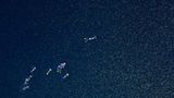 Video: Unterwasserwelt Palau - Bild 15
