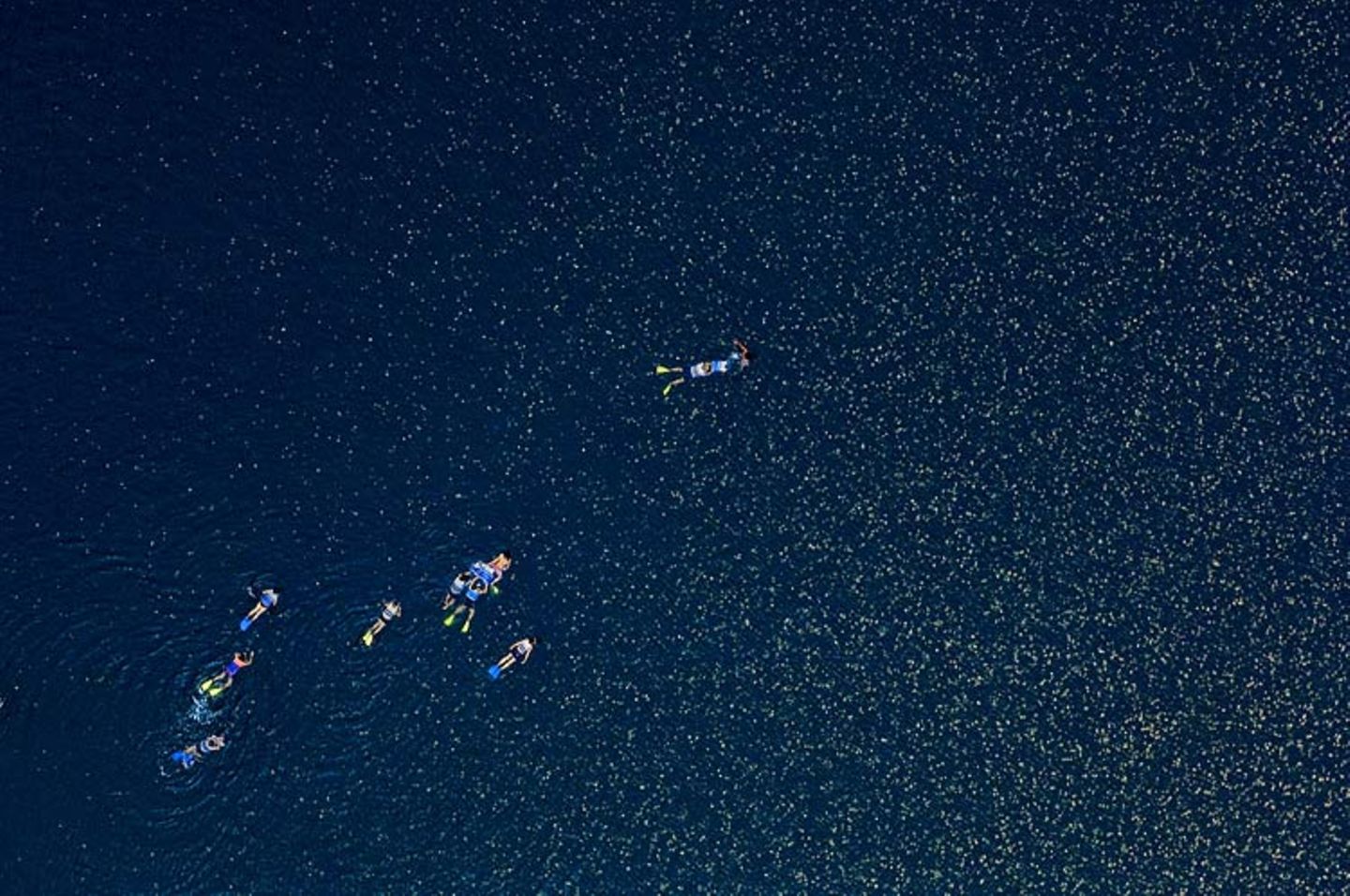Video: Unterwasserwelt Palau - Bild 15