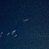 Video: Unterwasserwelt Palau - Bild 15