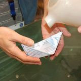 Papierschiffe: Wer sinkt, hat verloren - Bild 2