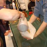 Papierschiffe: Wer sinkt, hat verloren - Bild 3