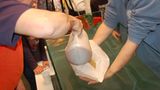 Papierschiffe: Wer sinkt, hat verloren - Bild 3