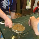 Papierschiffe: Wer sinkt, hat verloren - Bild 5