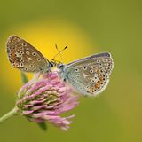 Das User-Foto des Tages - Mai 2009