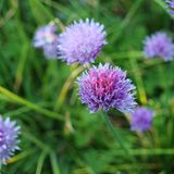 Das User-Foto des Tages - Mai 2009 - Bild 2