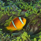 Das User-Foto des Tages - Mai 2009 - Bild 5