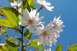 Das User-Foto des Tages - Mai 2009 - Bild 6