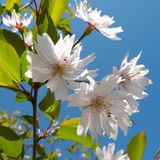 Das User-Foto des Tages - Mai 2009 - Bild 6