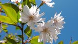 Das User-Foto des Tages - Mai 2009 - Bild 6