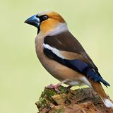 Das User-Foto des Tages - Mai 2009 - Bild 8