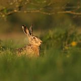 Das User-Foto des Tages - Mai 2009 - Bild 11