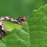 Das User-Foto des Tages - Mai 2009 - Bild 15