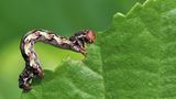Das User-Foto des Tages - Mai 2009 - Bild 15