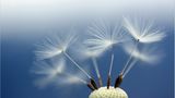 Das User-Foto des Tages - Mai 2009 - Bild 16