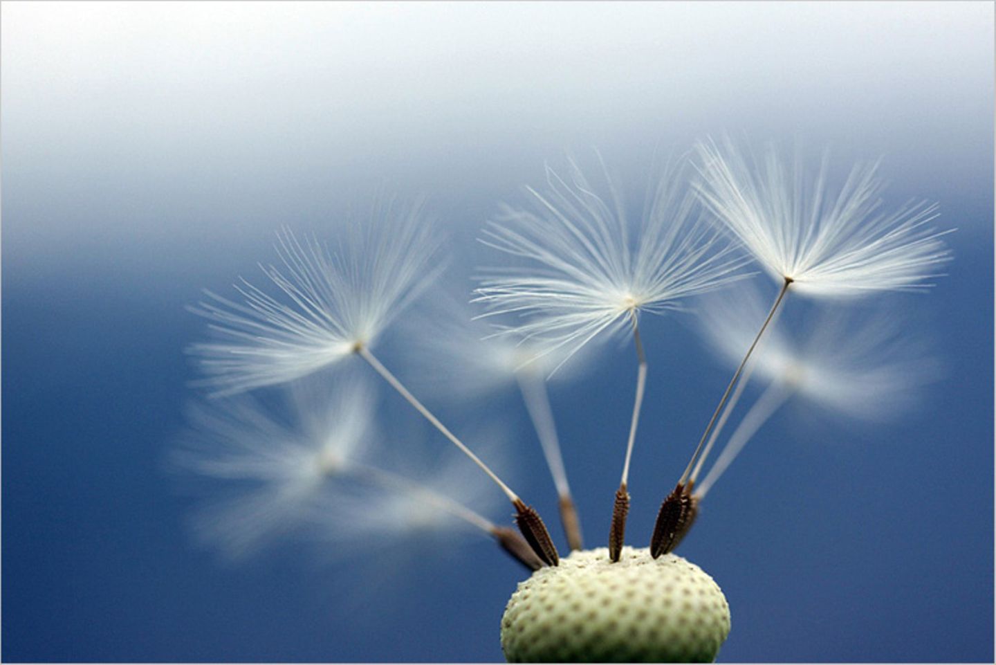 Das User-Foto des Tages - Mai 2009 - Bild 16
