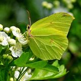 Das User-Foto des Tages - Mai 2009 - Bild 18