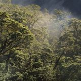 "Home": Liebeserklärung an einen Planeten - Bild 4