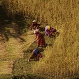 "Home": Liebeserklärung an einen Planeten - Bild 8