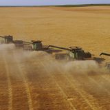 "Home": Liebeserklärung an einen Planeten - Bild 9