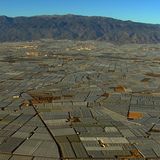 "Home": Liebeserklärung an einen Planeten - Bild 10