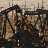 "Home": Liebeserklärung an einen Planeten - Bild 12