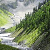 Leserfoto des Tages - Juni 2009 - Bild 3