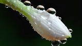Leserfoto des Tages - Juni 2009 - Bild 6