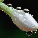 Leserfoto des Tages - Juni 2009 - Bild 6