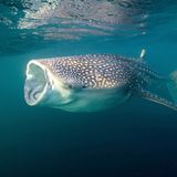 Leserfoto des Tages - Juni 2009 - Bild 7