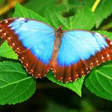 Leserfoto des Tages - Juni 2009 - Bild 9