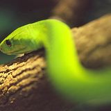 Leserfoto des Tages - Juni 2009 - Bild 10