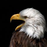 Leserfoto des Tages - Juni 2009 - Bild 12