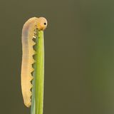 Leserfoto des Tages - Juni 2009 - Bild 13