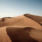 Leserfoto des Tages - Juni 2009 - Bild 14