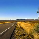 Leserfoto des Tages - Juni 2009 - Bild 21