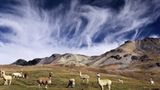 Abenteuerreise: Zwei Jahre Südamerika - Bild 4