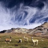 Abenteuerreise: Zwei Jahre Südamerika - Bild 4