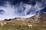 Abenteuerreise: Zwei Jahre Südamerika - Bild 4